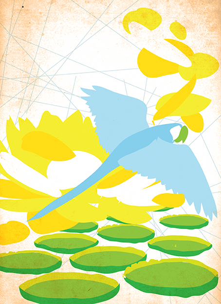 ilustracao eixo 06_manaus